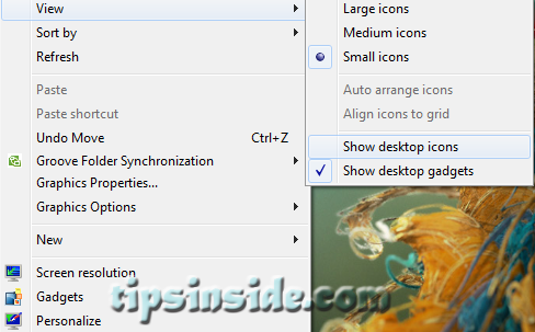 Hide Icons Windows Vista Desktop