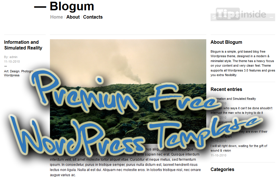blogum free premium wordpress template